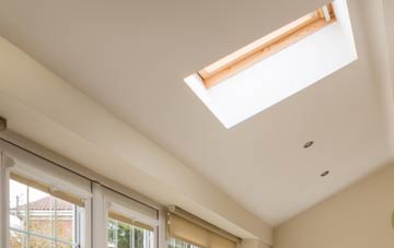 Burtle conservatory roof insulation companies