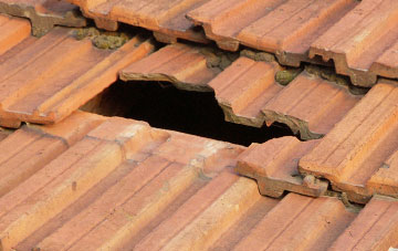 roof repair Burtle, Somerset